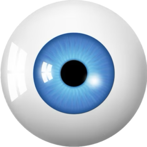 video exemple produit